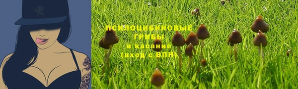 марки nbome Няндома