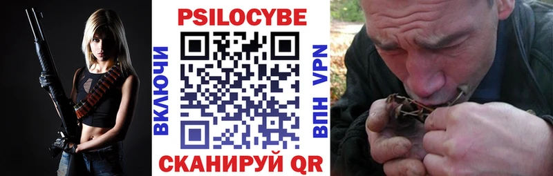 Псилоцибиновые грибы Magic Shrooms  Купить где  Кяхта 
